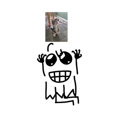 @FaceBoy_H