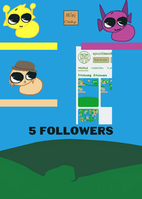 5 followers