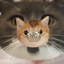 fishkake avatar