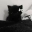 Coal_31 avatar