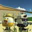 larrythechicken avatar