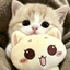 ShirinAli avatar
