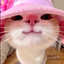 ST4R_SHELLY avatar