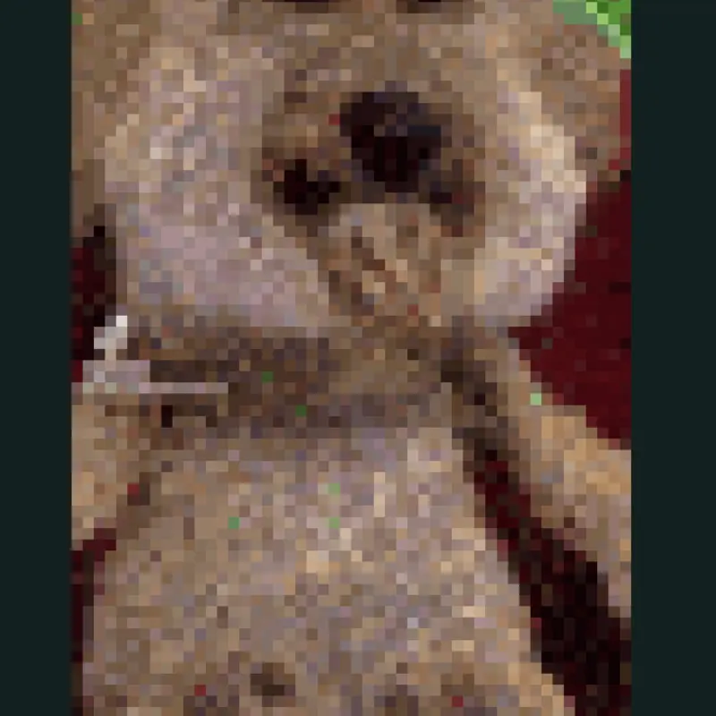 Send this to a party by @-_E-1_-