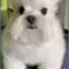 Mama_Ja_pupsik avatar
