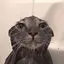 Pie000000999 avatar