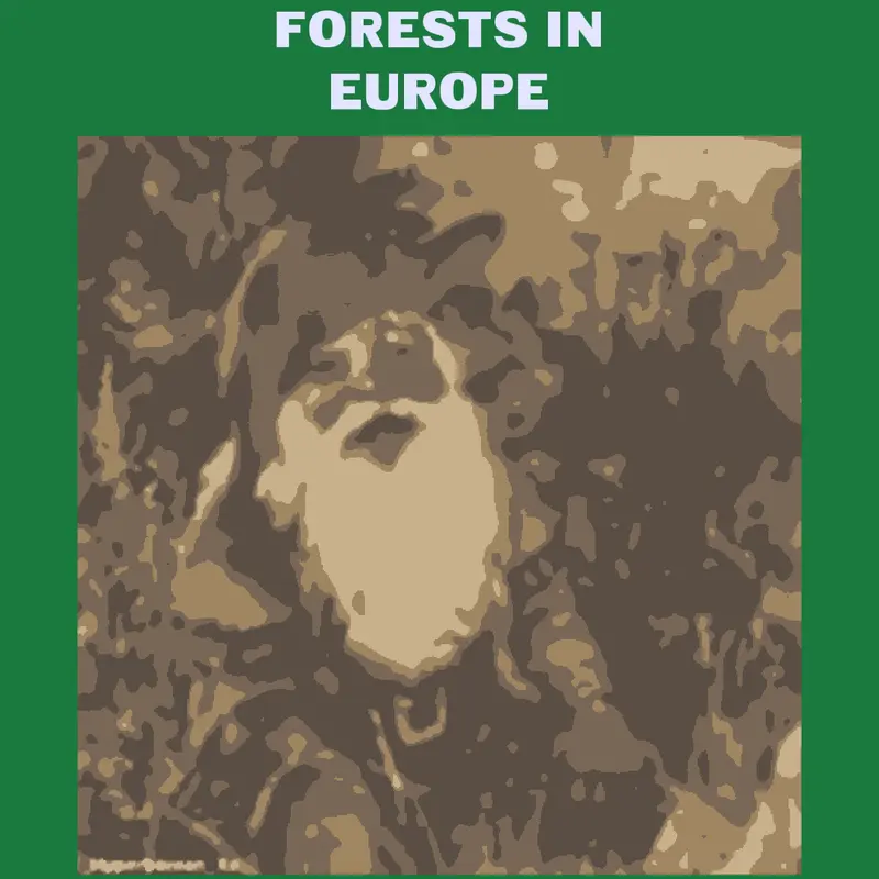 Europe forest vs American forest by @True_self_studios