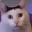 Ali_alphabet_lore_favv avatar