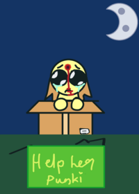 take care of punki