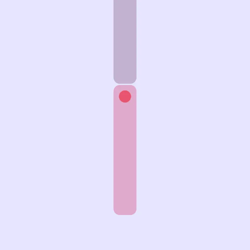 Double Pendulums? by @alukinaEmily