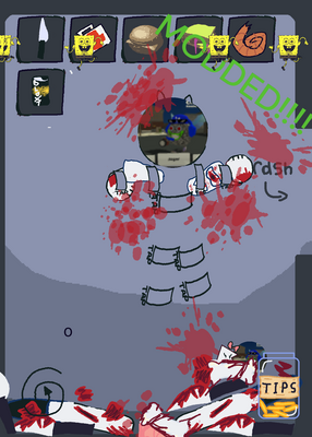 snapshot