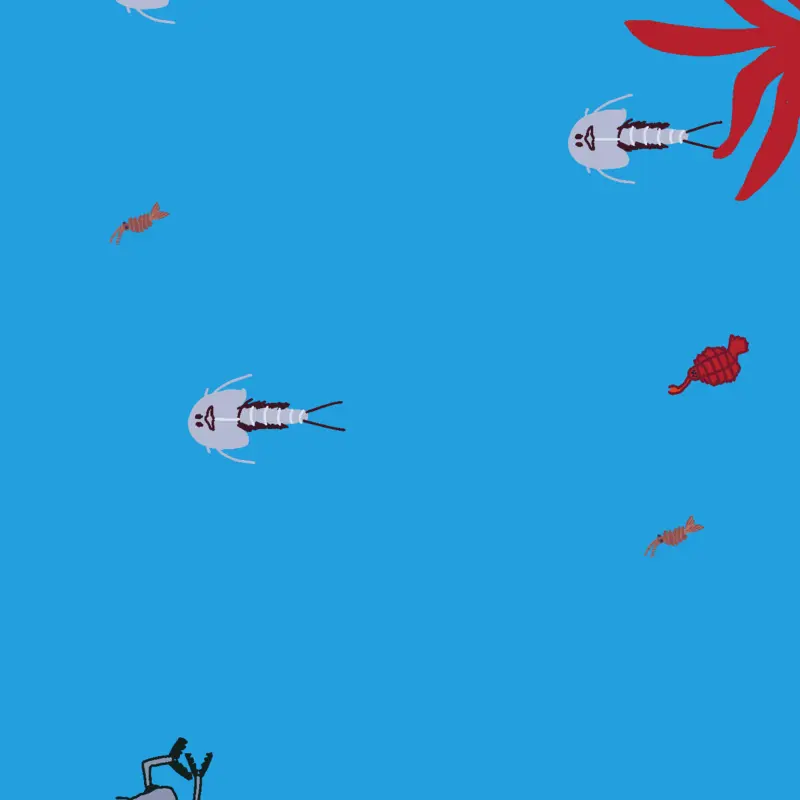 Ancient Ocean by @castledude26