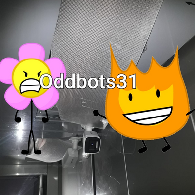 @Oddbots31
