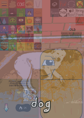 snapshot