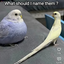 yippe12 avatar
