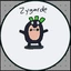 Zygarde888 avatar