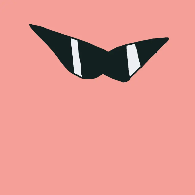 Random sunglasses by @squirtlesquad