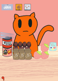 Feed orange cat