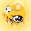 titi678 avatar