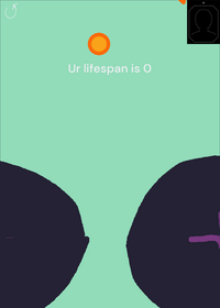 ur lifespan is