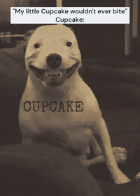 Cupcake 😰😰😱