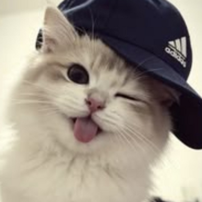 @ccoollaaaaaaa