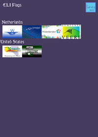 cli flags