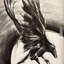 raven-star avatar