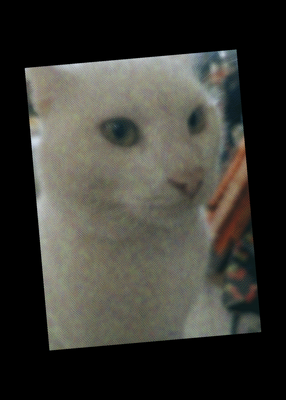 snapshot