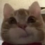 eracheiomarimla avatar