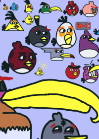 Bounci birds