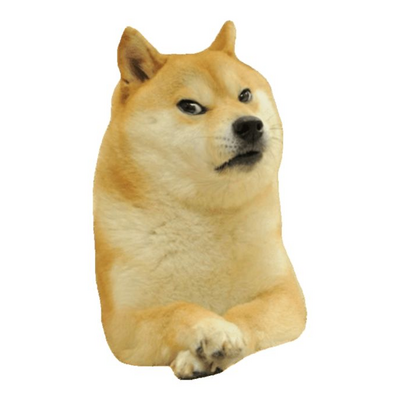 @DOGE6767676767