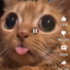 kitty_silly avatar