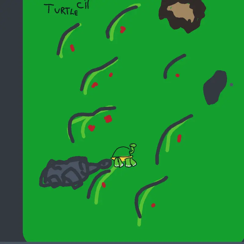 Turtle cit🐢 by @WashingtonPinto