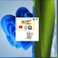 mrvve avatar