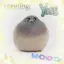 Healing_pigeon avatar