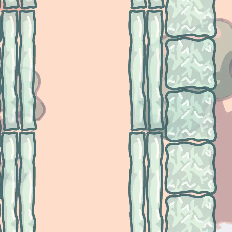 Game by @Rauled