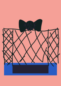 trampoline