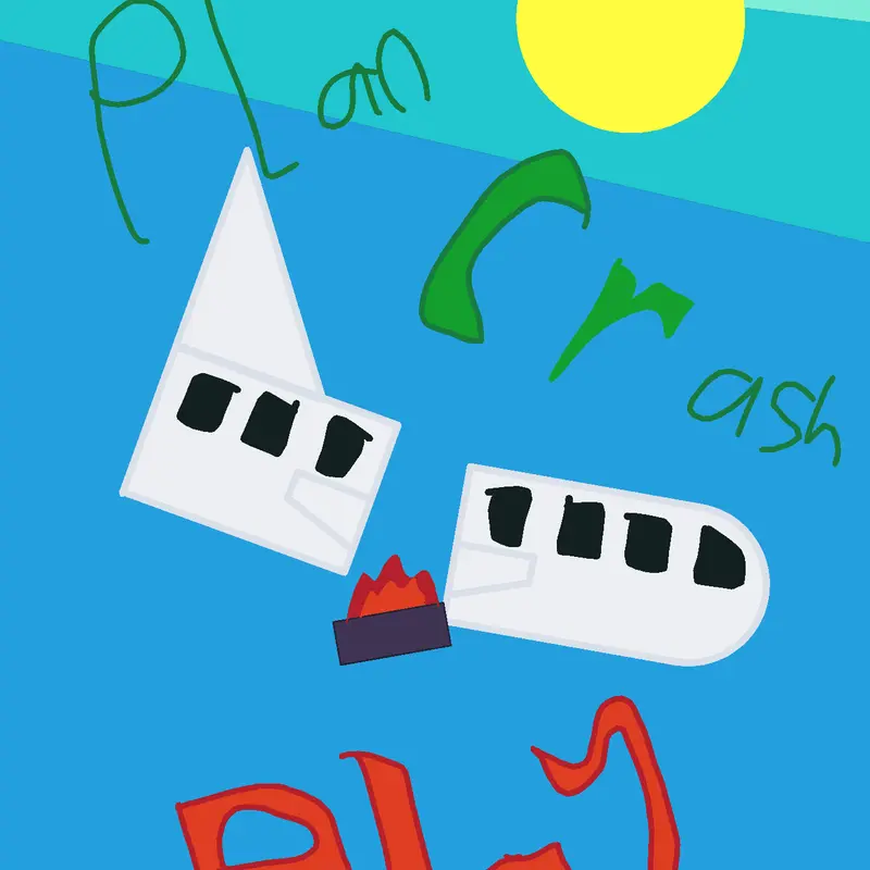 Plane crash by @Japan_or_chille911