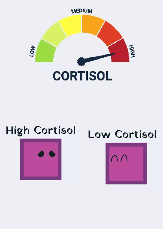 Low cortisol dash level by @Jasont