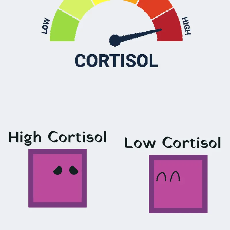Low cortisol dash level by @Jasont