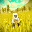 che_THAI avatar