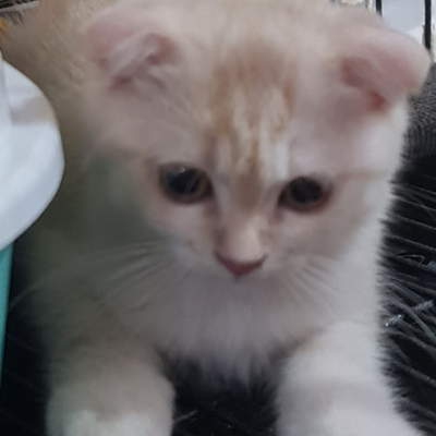@Looey_myfav