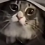 crunchy_rockz avatar