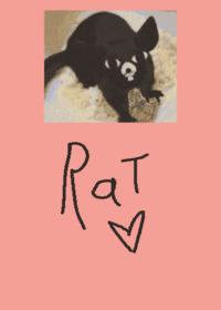 Ratthew