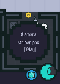 Strider camera pov