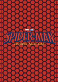 SPIDER MAN BRAND NEW DAY