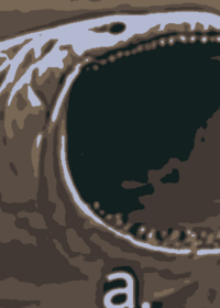 Lobotomy Sandbox V1.3