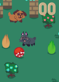 Dogs