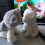 cat_dogme avatar